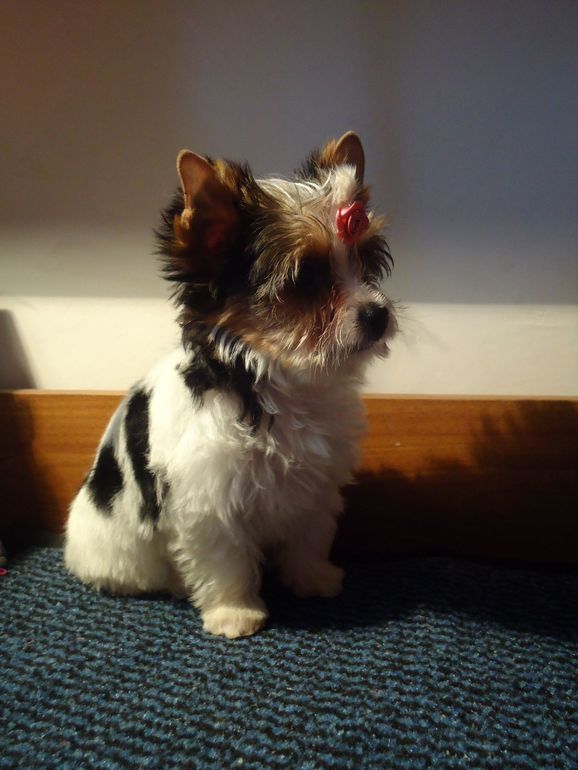 Привет. Давайте знакомиться! :)