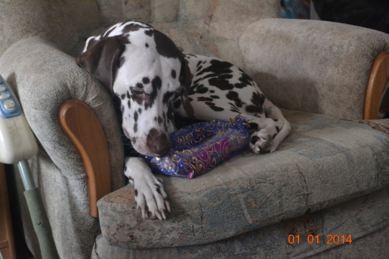 Как снег на голову!