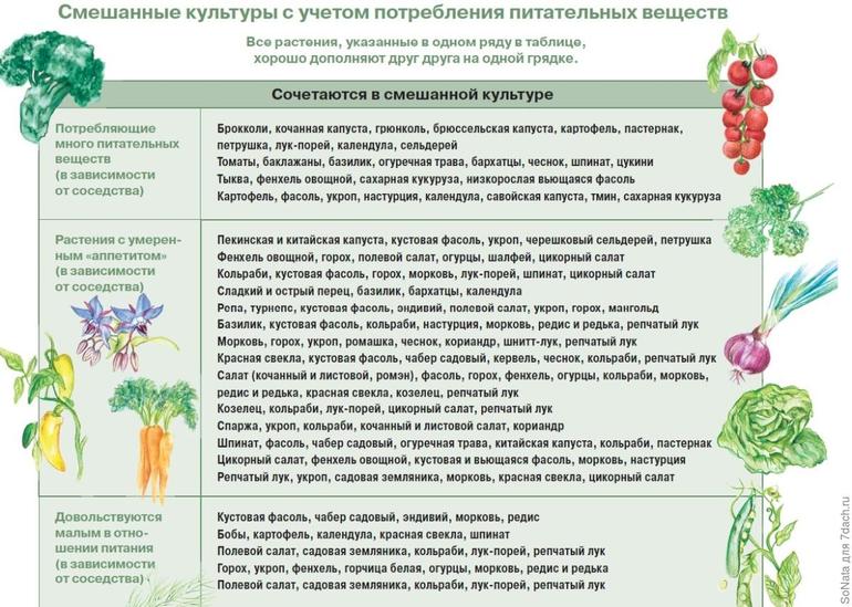 Поздравление для дедушки короткие красивые