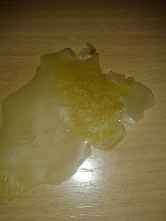 дубль 2.