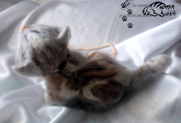 Котик Гламур.