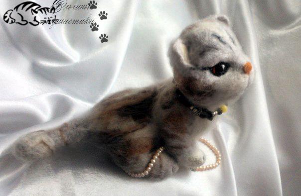 Котик Гламур.