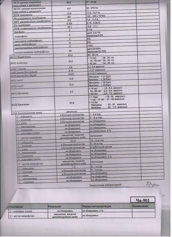 БАКТЕРИОСКОПИЯ МАЗКА ДО ЭКО