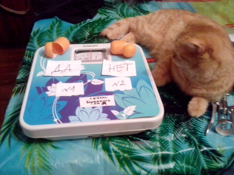 Оглашаю результаты!