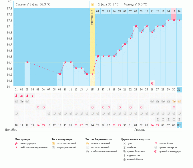 Ура! Мой первый график оказался Беременным!