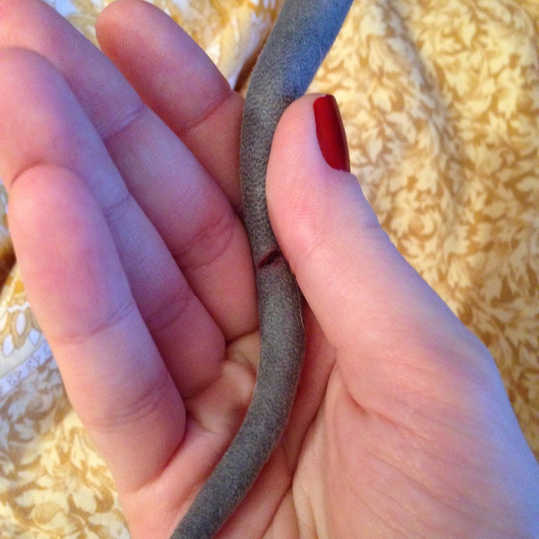 Бедная моя Лю((((