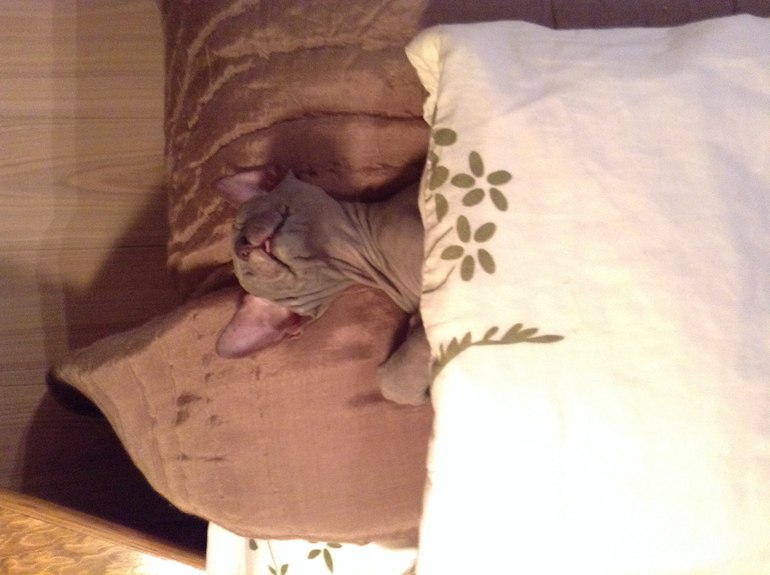 Бедная моя Лю((((