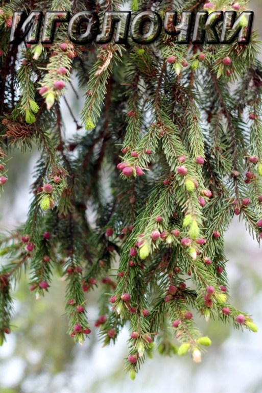 Контрольное задание № 12. Имитируем объём и глубину