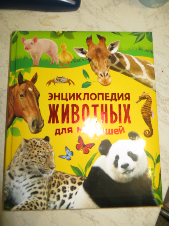 Благодарность за поздравления. Добрые, красивые слова Благодарность за поздравления. Добрые, красивые слова