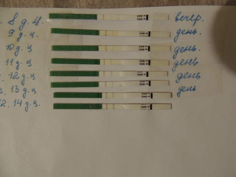 это она?? не пойму ((