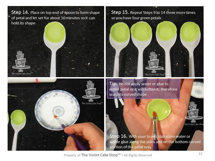 Ранункулюс, по-нашему лютик (Интернет)