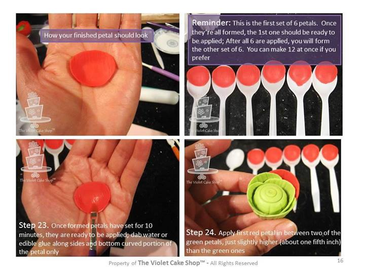 Ранункулюс, по-нашему лютик (Интернет)