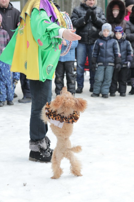 Праздник в парке