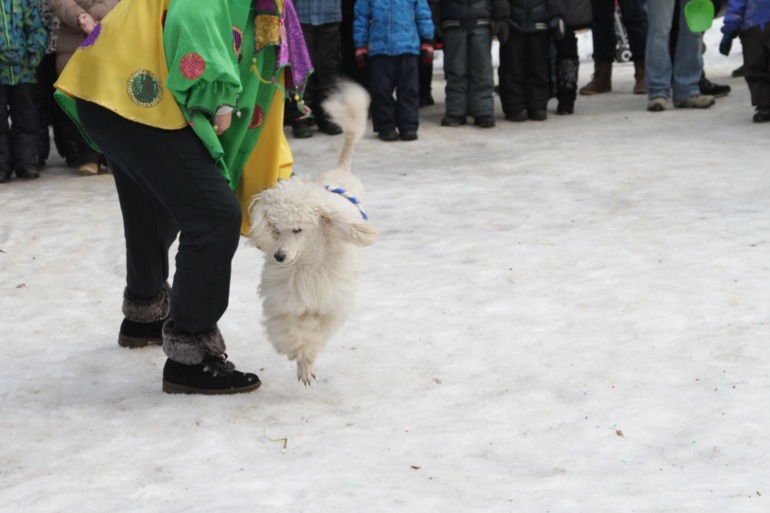 Праздник в парке
