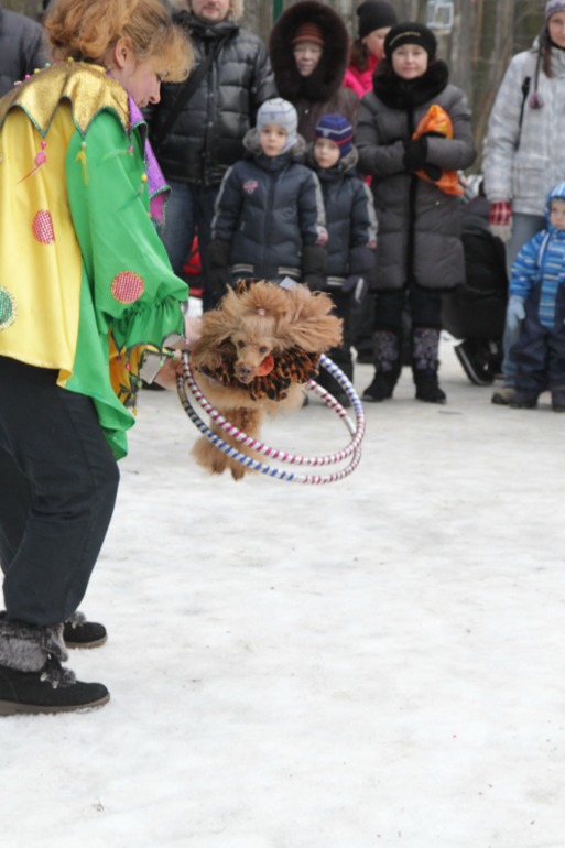 Праздник в парке