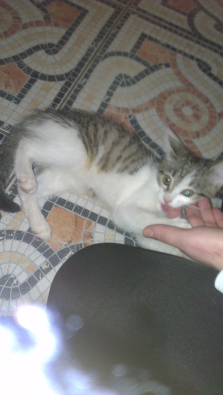 Огромное спасибо.