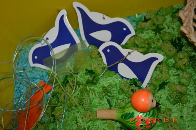 ТН Птицы 4,5 день