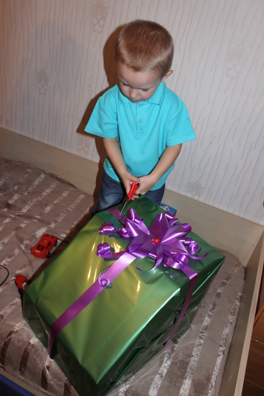 День рождения сынули или в сказке у Фиксиков!!