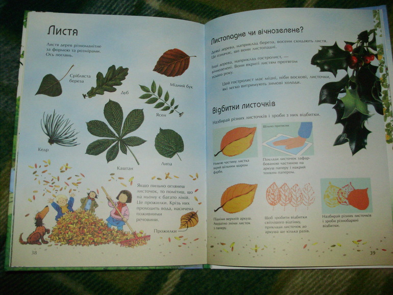 Зимние книги и другие новинки декабря