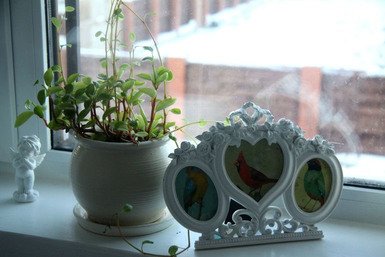 Мои новые приобретения