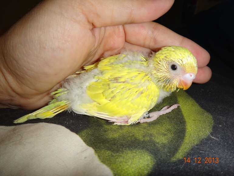 И мы растем!