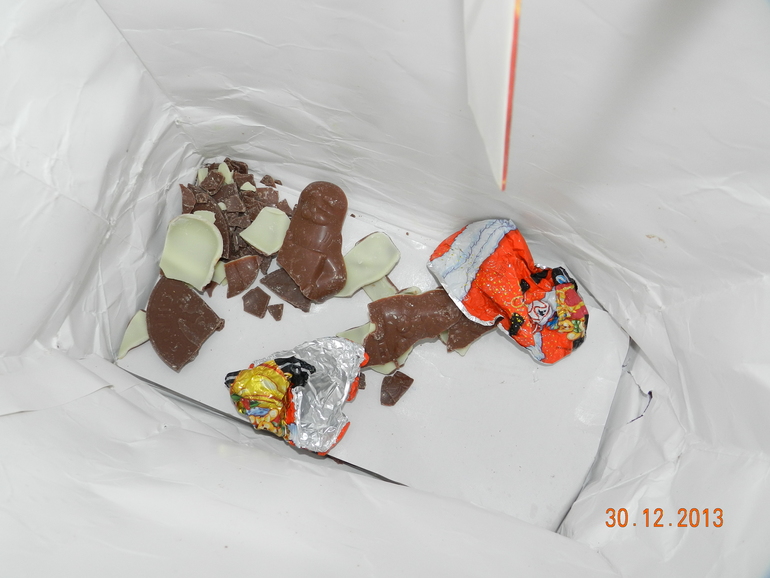 Наш хвастик