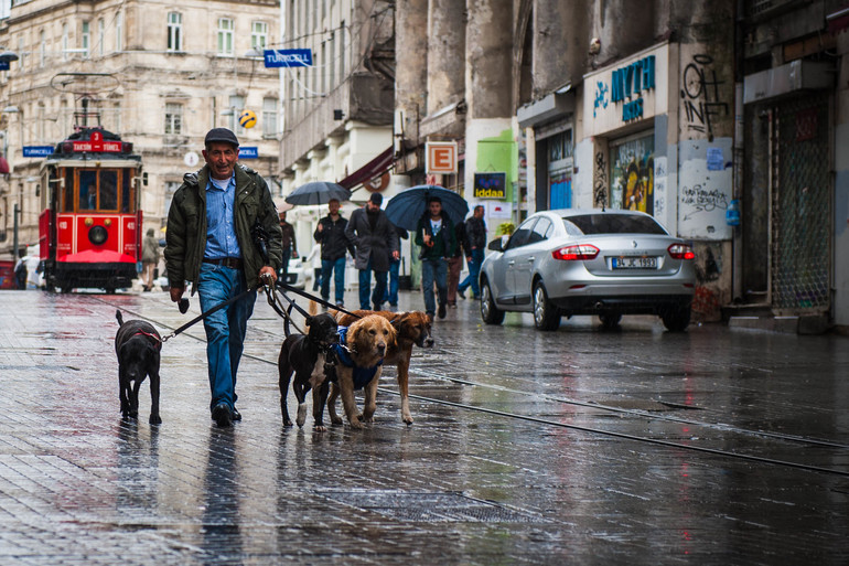 Стамбул Октябрь 2013  часть 1