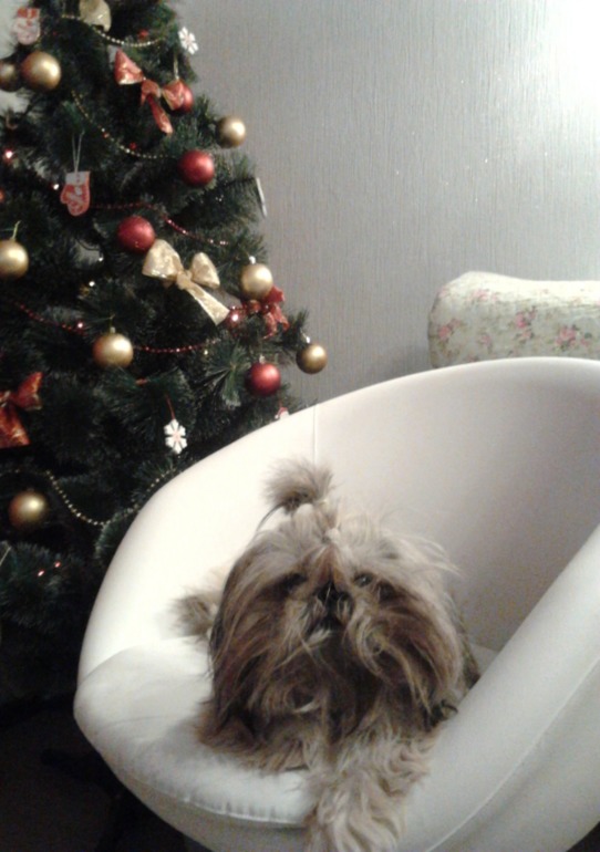 И мы украсили наш дом!!!