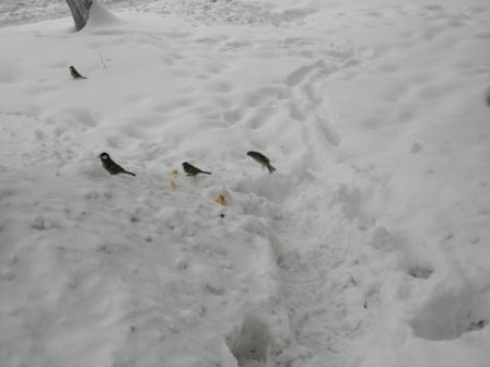 Взлет 68 день 28 один день из жизни флай леди! фото отчет!