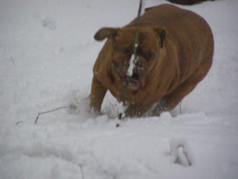 Моя Лялечка, детка первая, беги по радуге, я тебя всегда буду помнить...