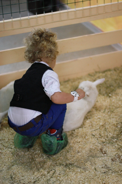 Контактный зоопарк м.Теплый стан