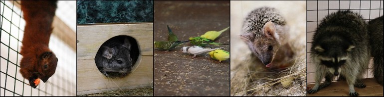 Контактный зоопарк м.Теплый стан