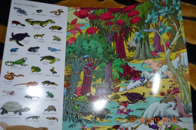 Еще несколько книг в подарок для нашего разбойника