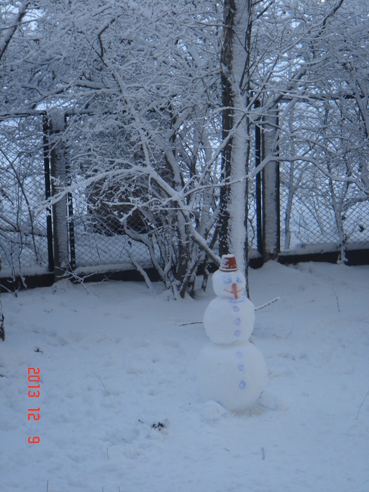 зима в Тольятти