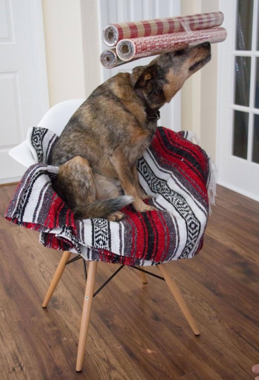 Новогодний пес)))