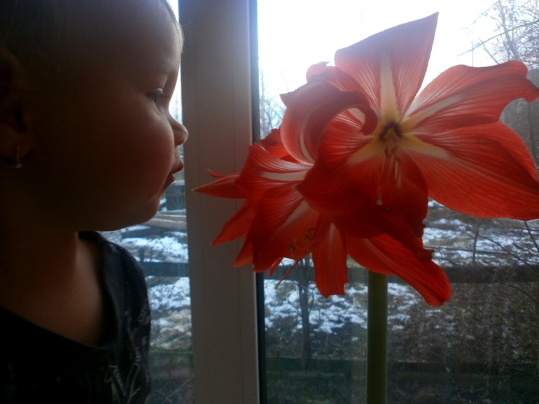 Гипик сделал подарок к новому году