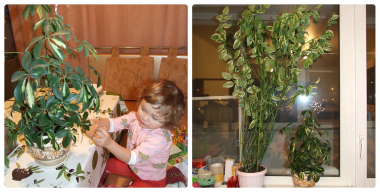 Взлёт 69. день 14-15