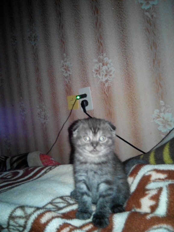 Вот так мы уже выросли)))