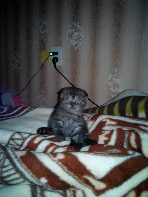 Вот так мы уже выросли)))