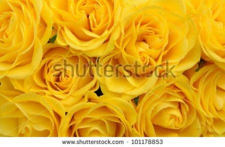 давайте дружить!!!