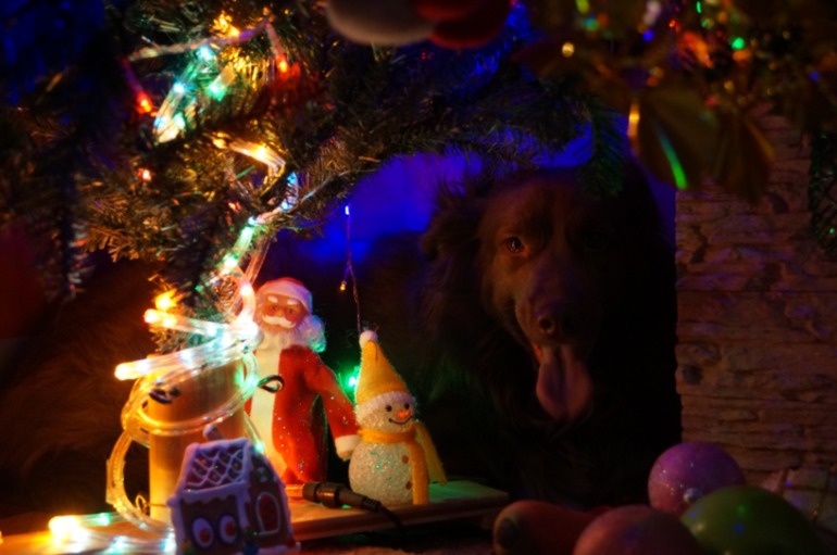 Мы в 2014 году:)