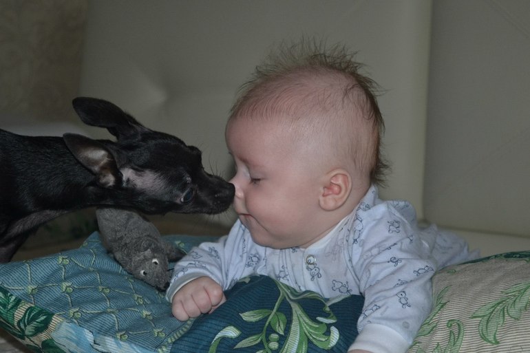 Ребенок и щенок