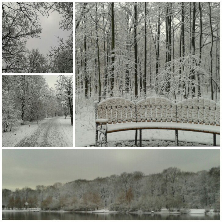 Москва, Перово, Терлецкий парк