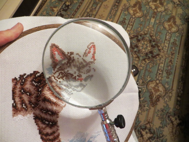 Моя новогодняя хомячья неожиданность :))