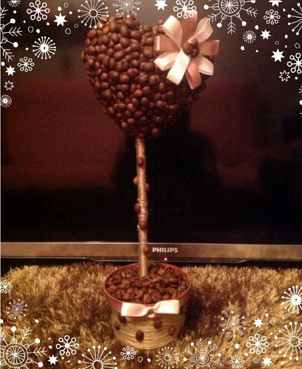 Моё первое кофейное деревце.