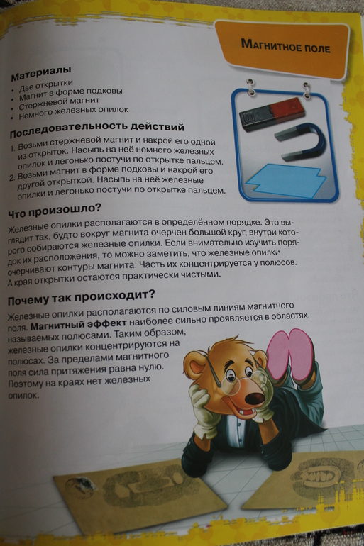 Первые научные опыты. Магнит и Вода