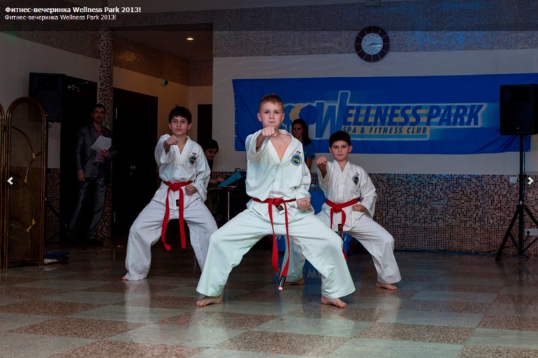 Wellness Park - Новогодняя вечеринка 19.12.13 и участие в Новогоднем аэромарафоне 12.12.13
