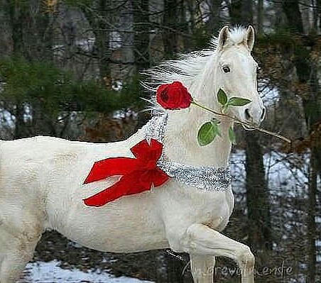 Дорогие мои ББ-шечки