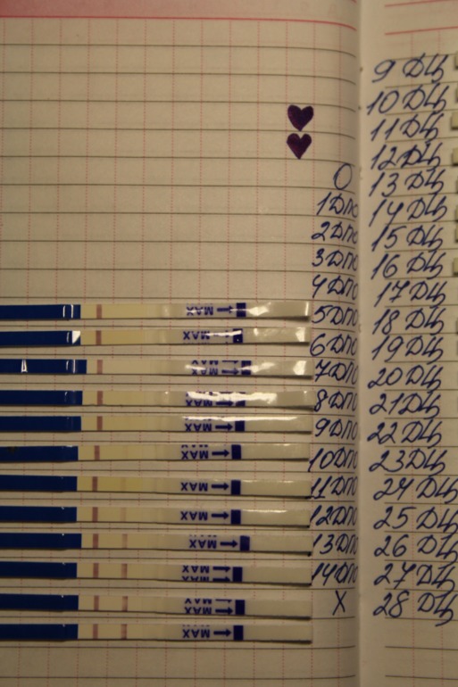 Моя история зачатия:) с графиком и тестами