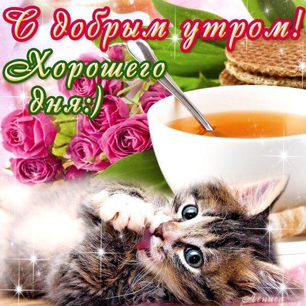 Открытка с хорошим утром Открытка с хорошим утром